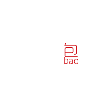 baotime-brioche-vapeur-chinoise-street-food-lyon